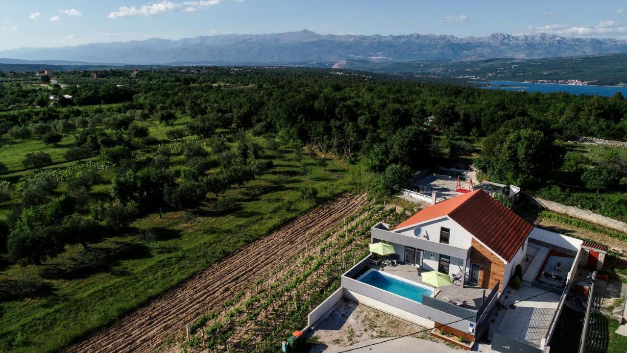 Luxurious Villa Natali Pridraga Exterior photo